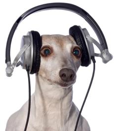 dog earphones