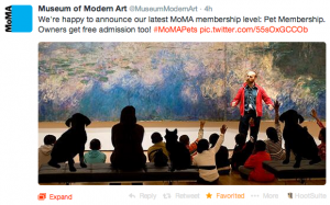 MoMA - Pet Membership