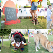 National Dog Day Autotrader Event